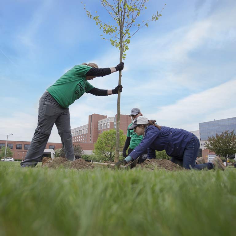 SPEA students plant a tree on Arbor Day.